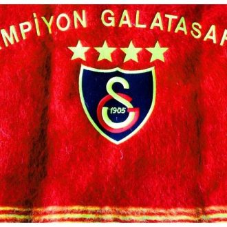 Galatasaray Takım Logosu