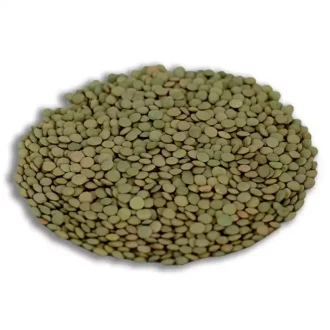 Yeşil Mercimek